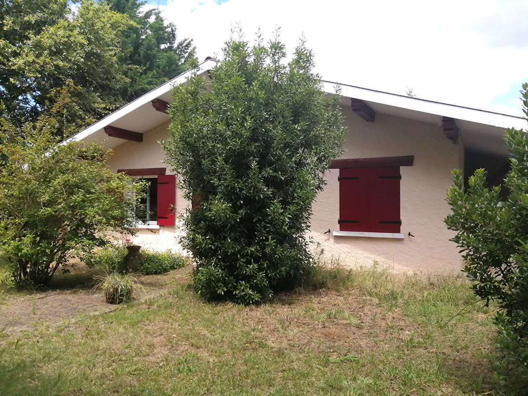 Maison à LEGE-CAP-FERRET