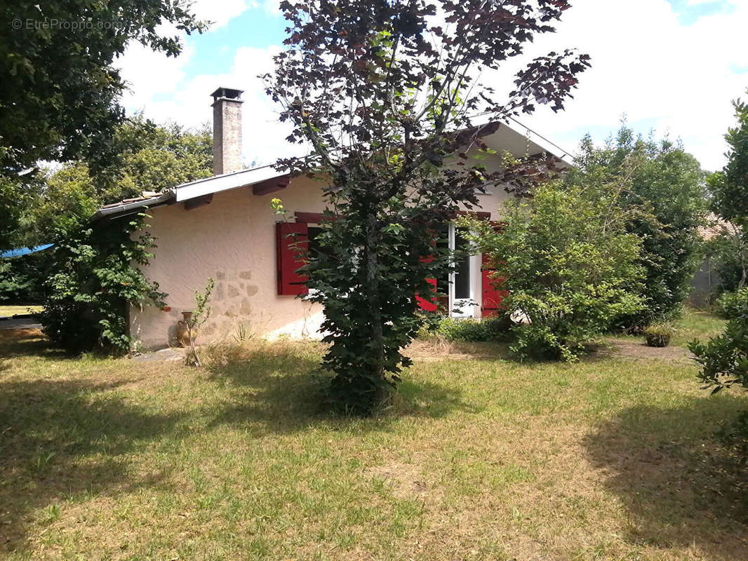 Maison à LEGE-CAP-FERRET