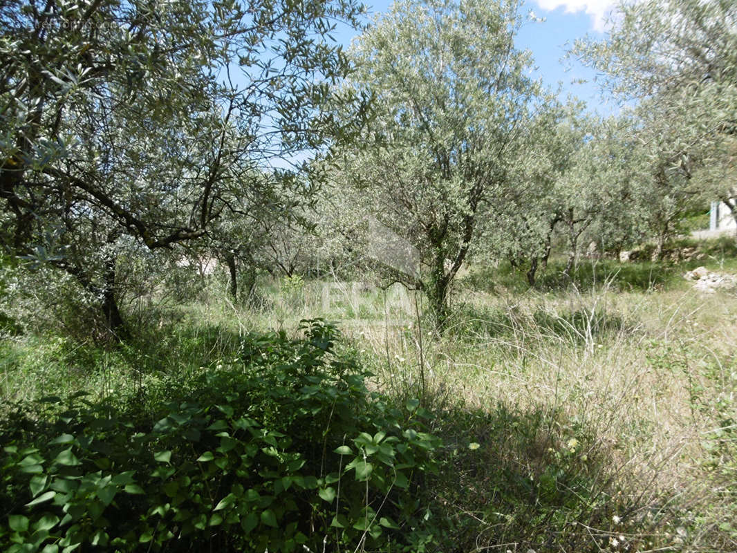 Terrain à DRAGUIGNAN