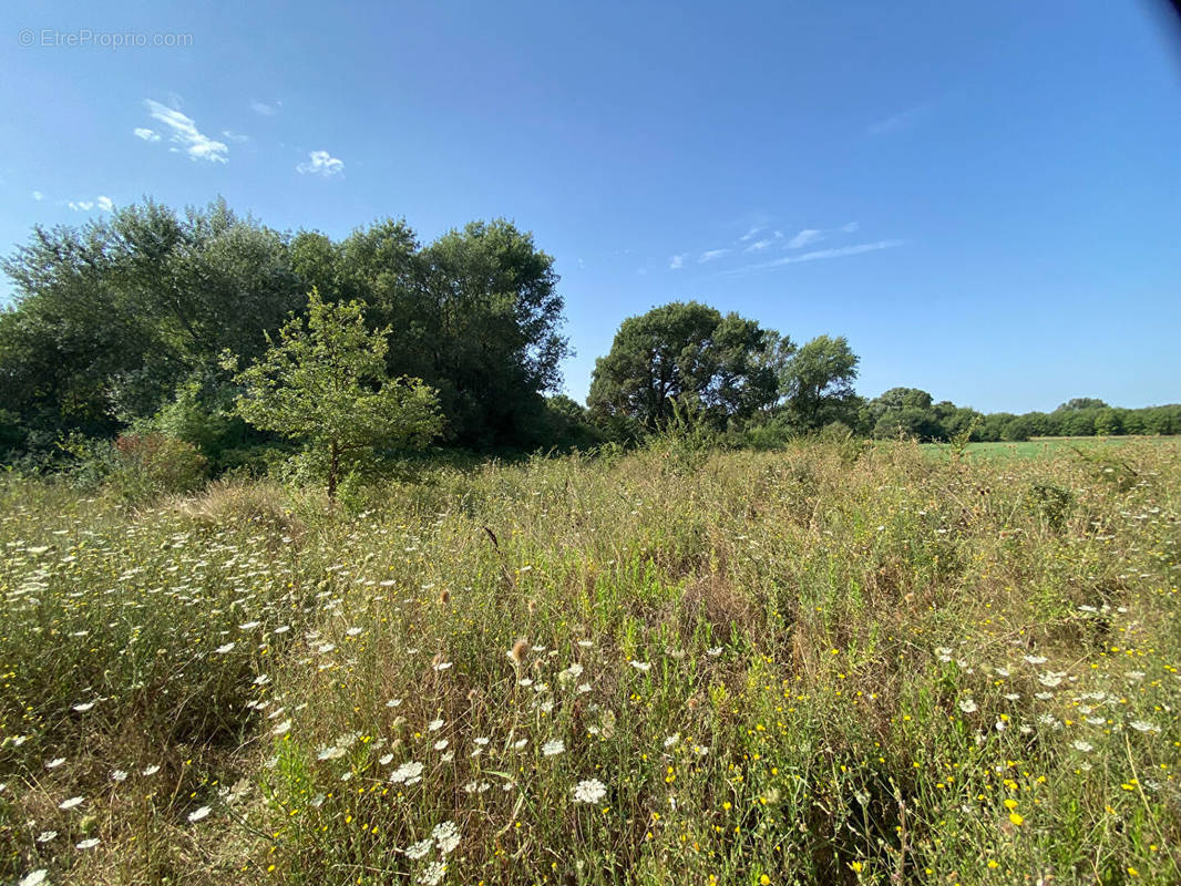 Terrain à GAREOULT