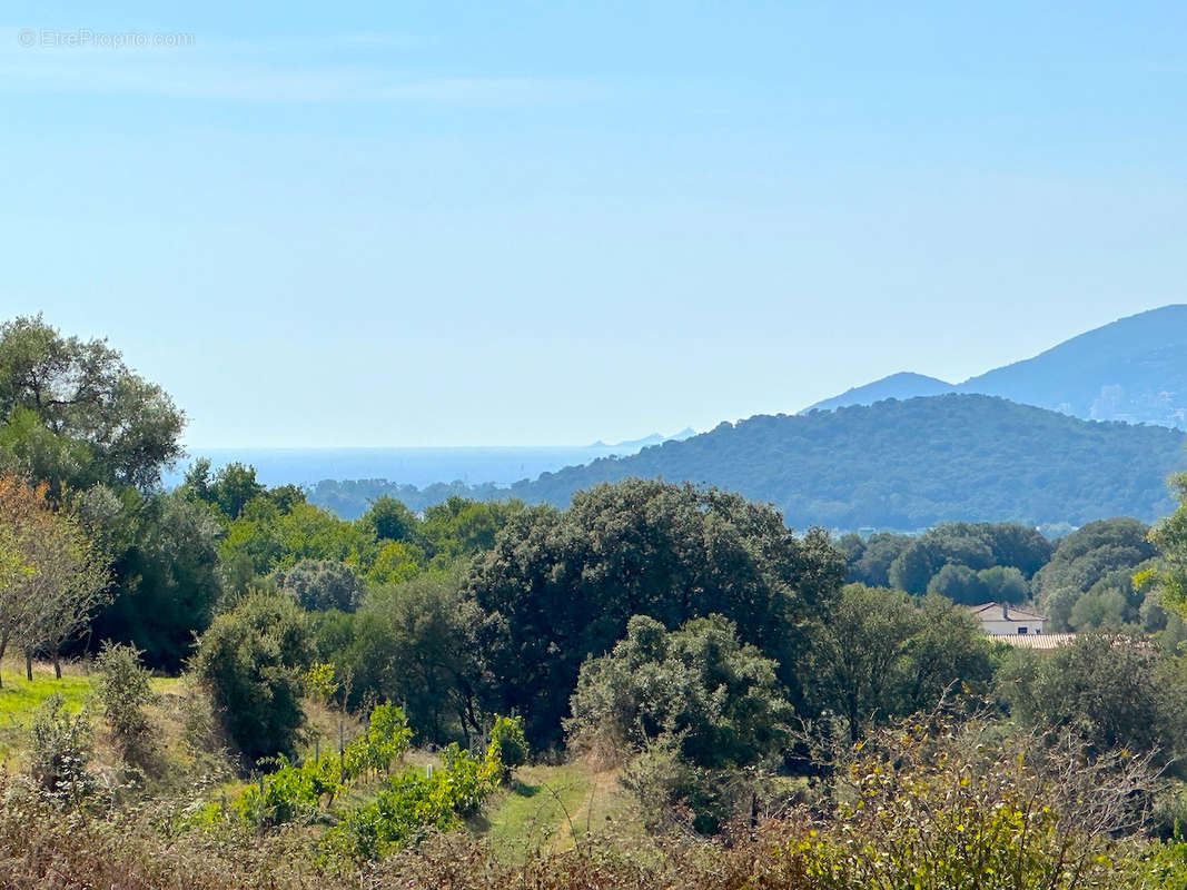 Terrain à BASTELICACCIA