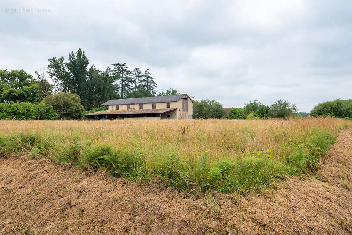 Maison à AMOU