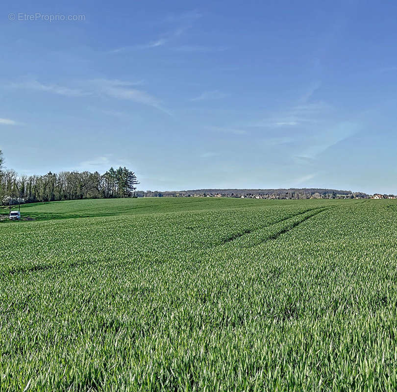 Terrain à VICQ