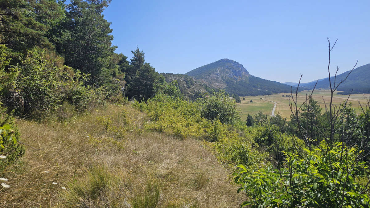 Terrain à CAILLE