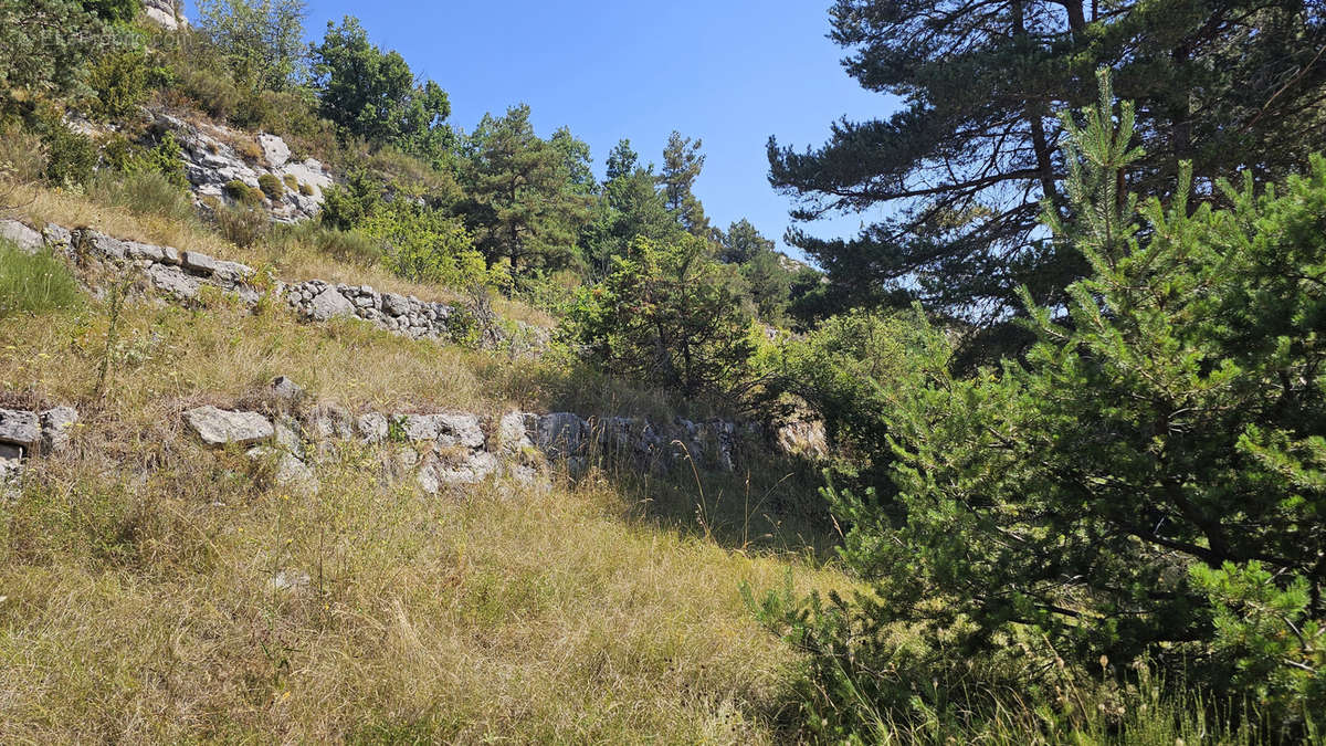 Terrain à CAILLE