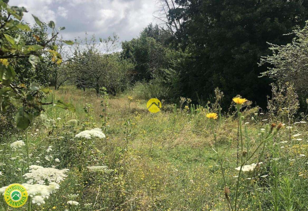 Terrain à LIGNIERES