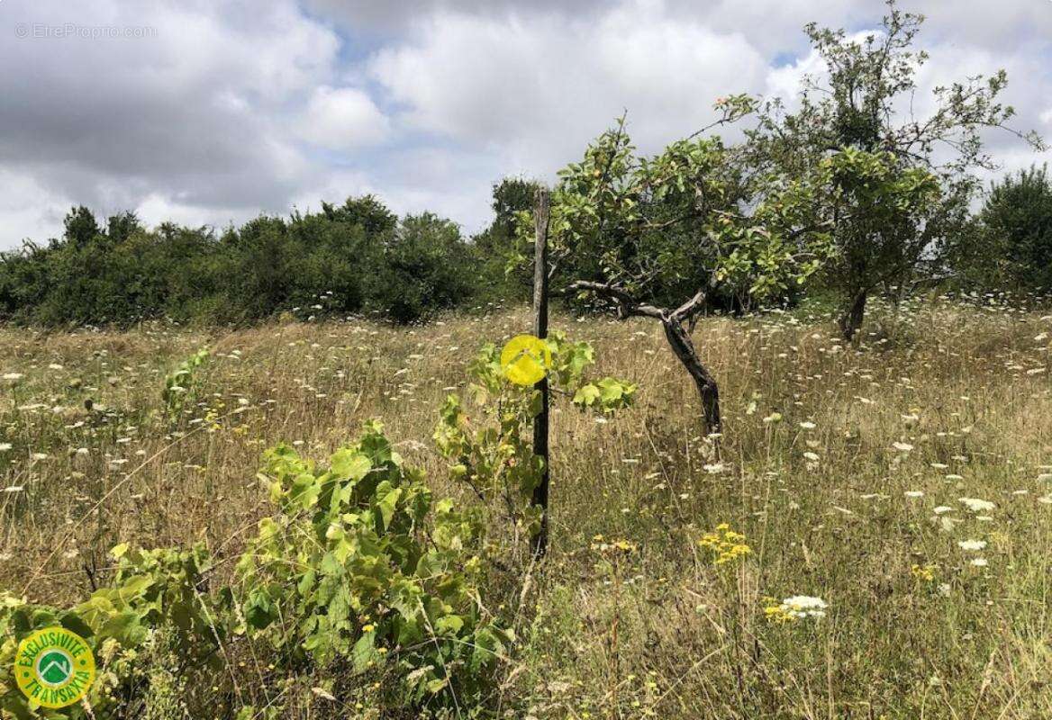 Terrain à LIGNIERES