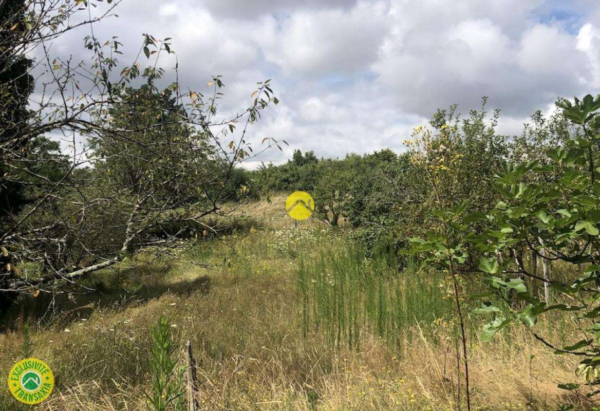 Terrain à LIGNIERES