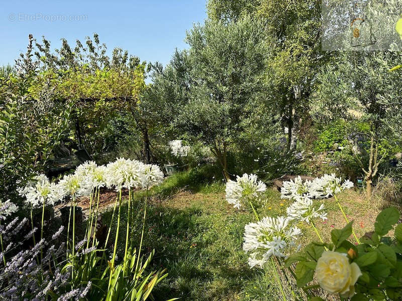 Maison à VILLEBOIS-LAVALETTE