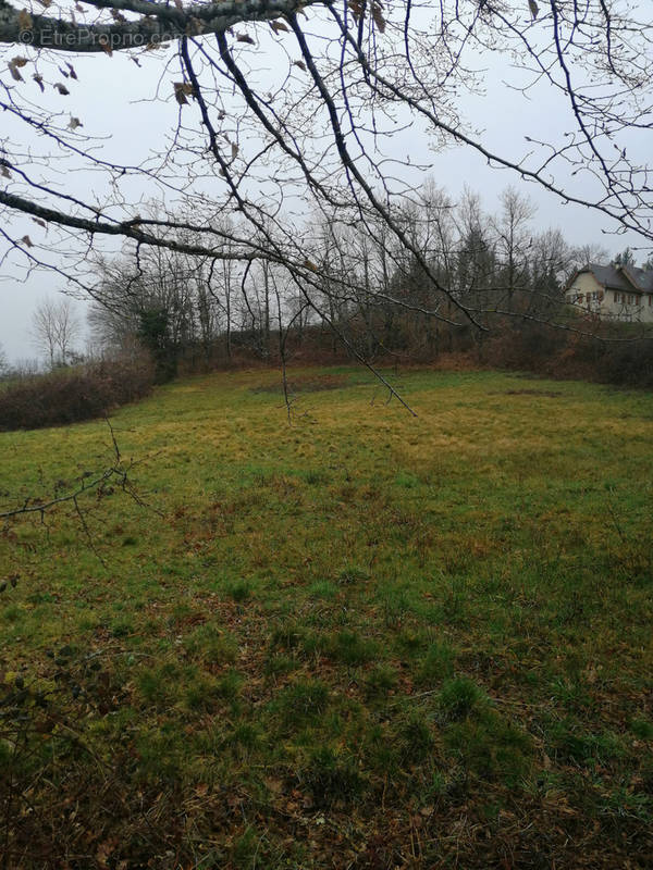 Terrain à SAINT-CERE