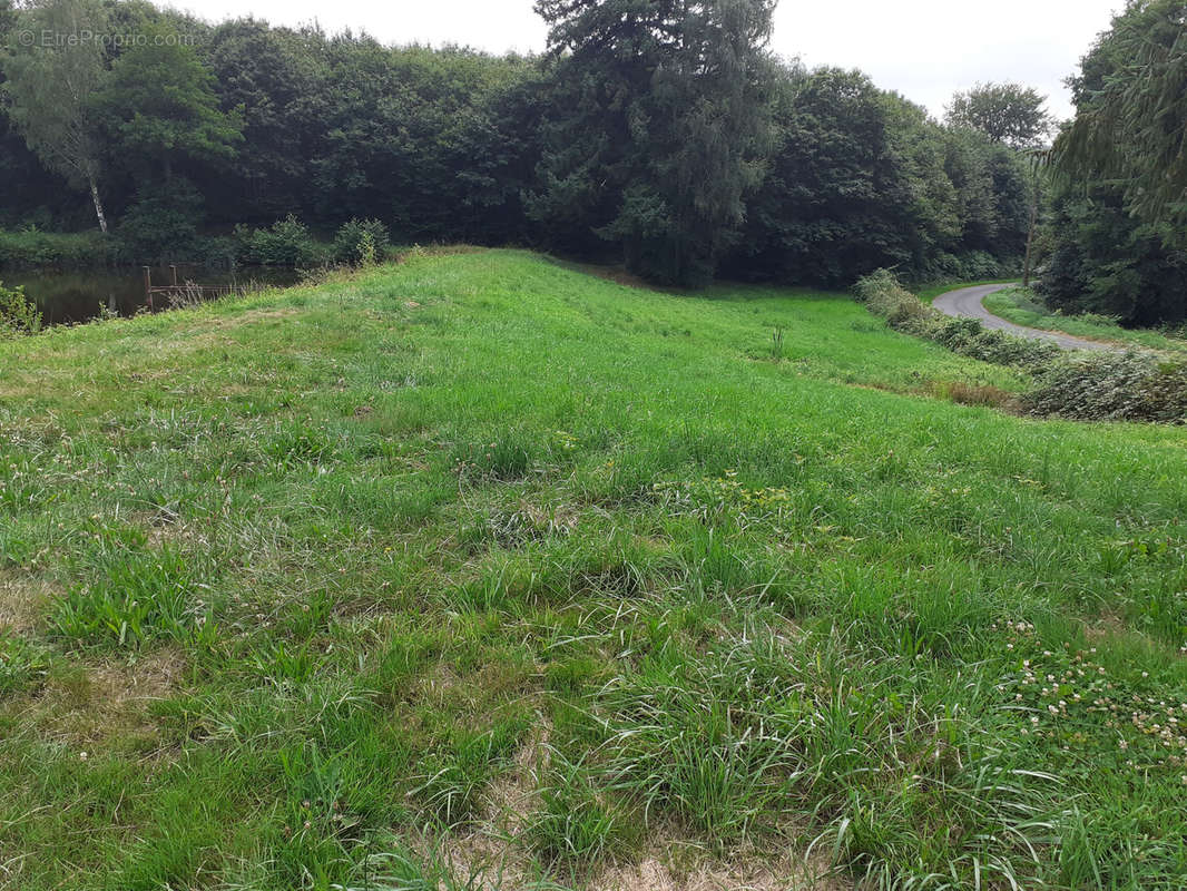 Terrain à SAINT-LAURENT-SUR-GORRE