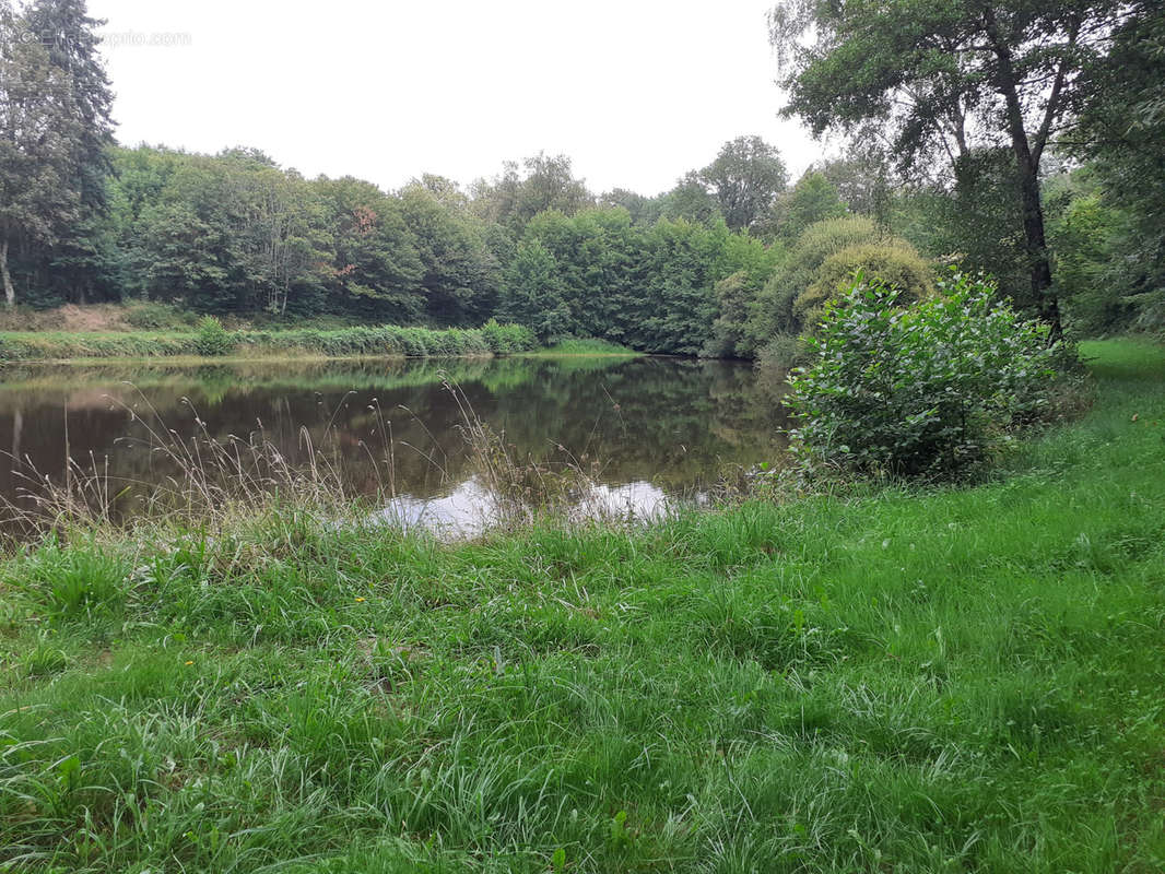 Terrain à SAINT-LAURENT-SUR-GORRE