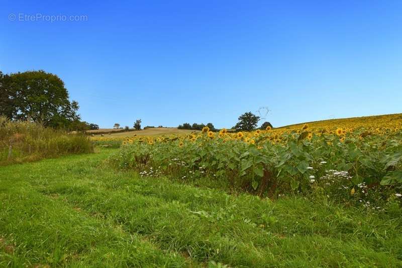 Terrain à SAINT-MAURICE-LES-COUCHES