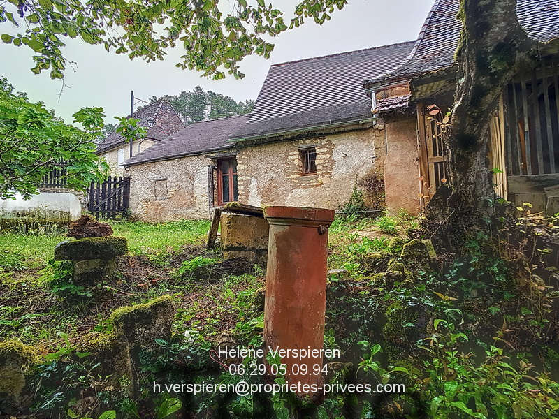 Maison à LE BUISSON-DE-CADOUIN