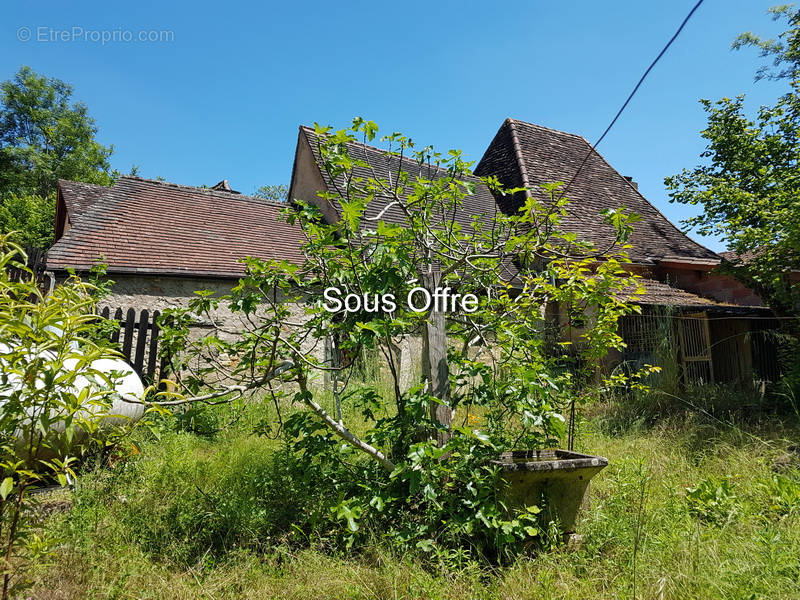 Maison à LE BUISSON-DE-CADOUIN