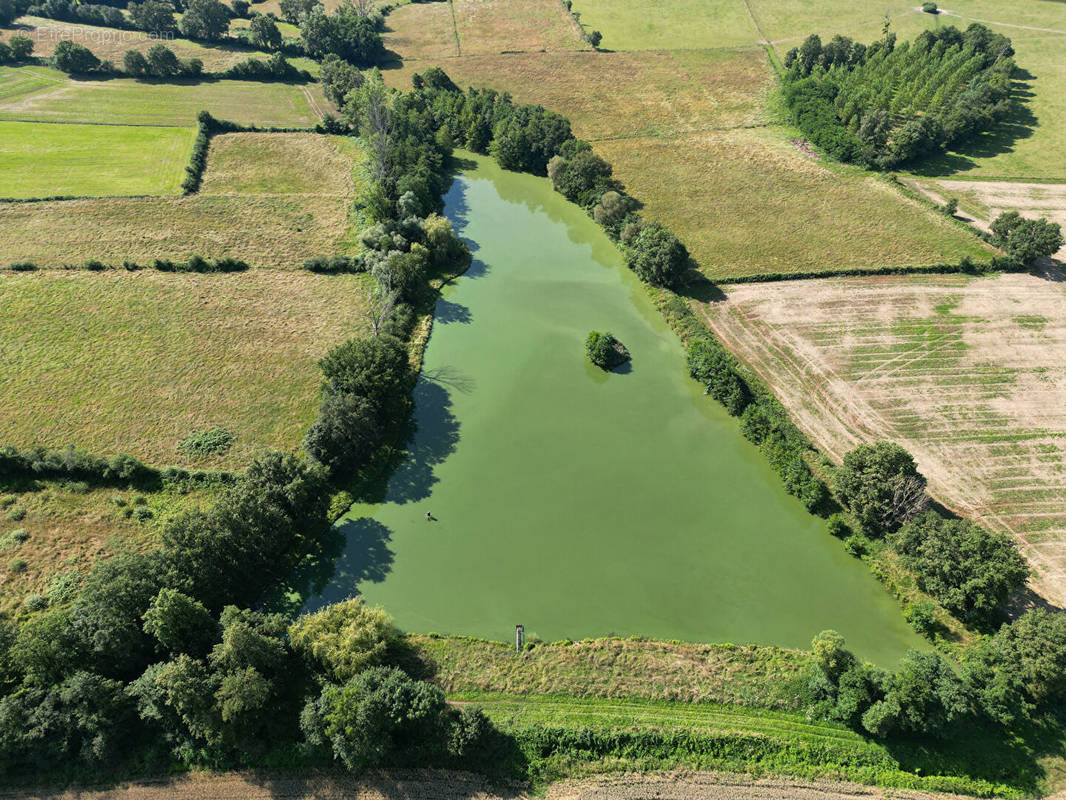 Terrain à SAINT-MARTIN-EN-BRESSE