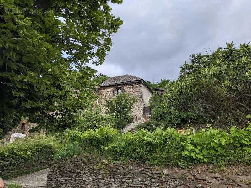 Maison à SAINT-ANDRE-DE-LANCIZE