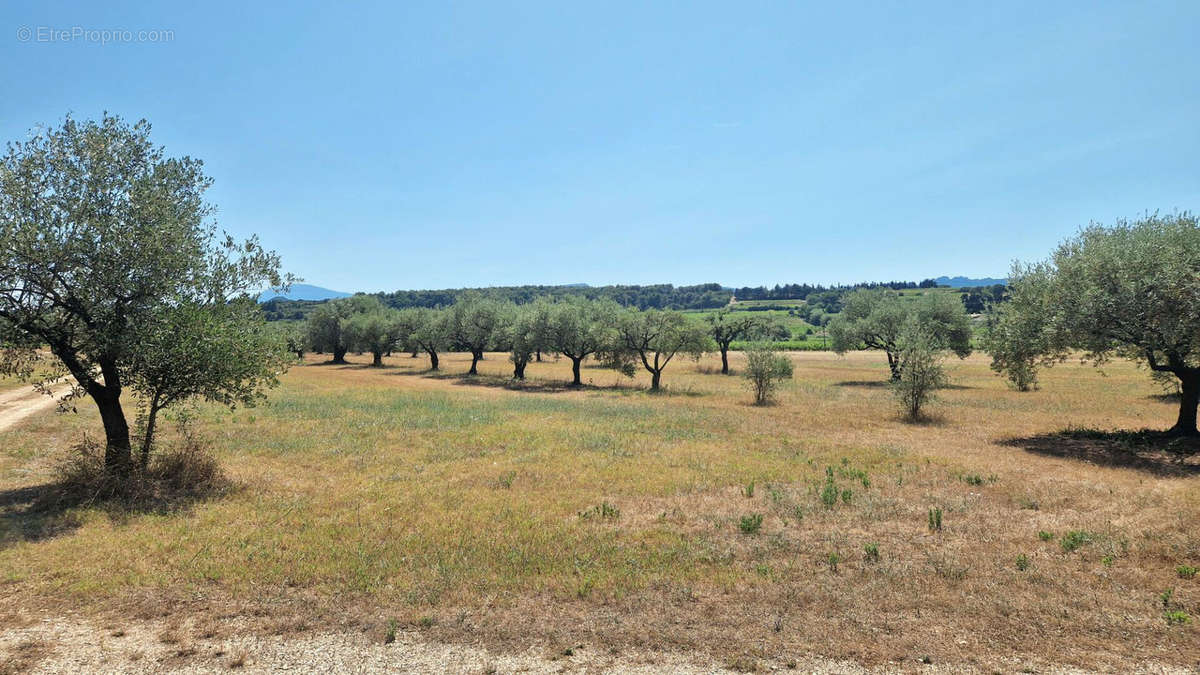 Maison à SAINTE-CECILE-LES-VIGNES