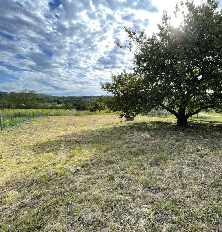 Terrain à CIVAUX