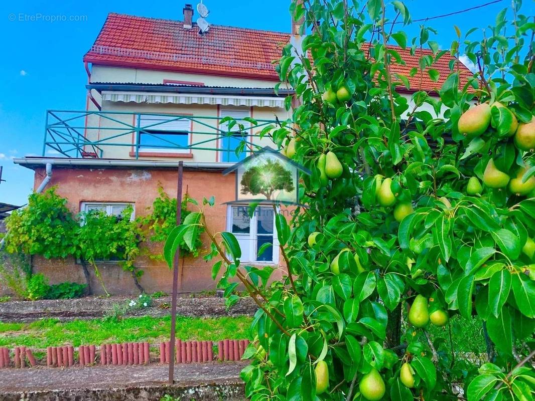 Maison à LICHTENBERG