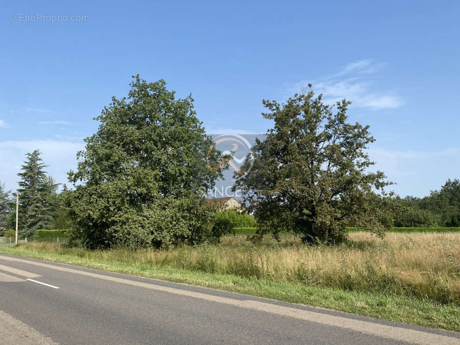 Terrain à TRACY-SUR-LOIRE