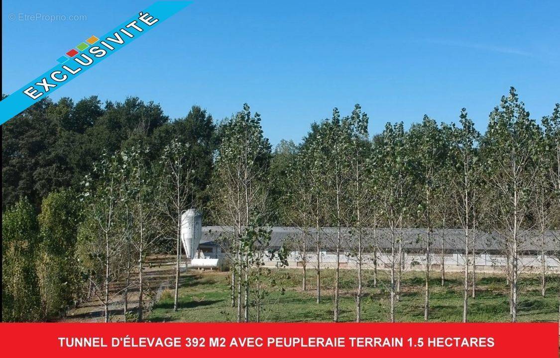 #gers #terrain #élevage #peupleraie #verger #sudouest - Autre à SAINTE-CHRISTIE-D&#039;ARMAGNAC