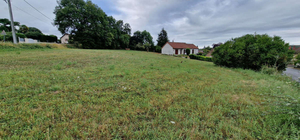 Terrain à SAINT-PIERRE-DE-MAILLE