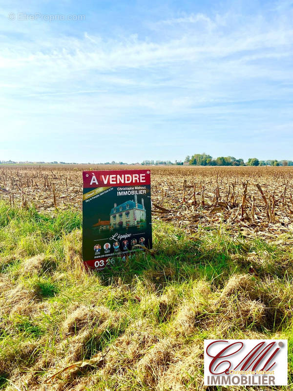 Terrain à VITRY-LE-FRANCOIS