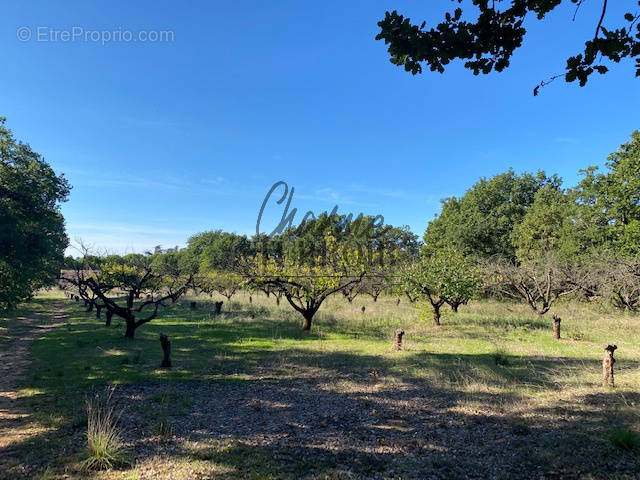 Terrain à UZES