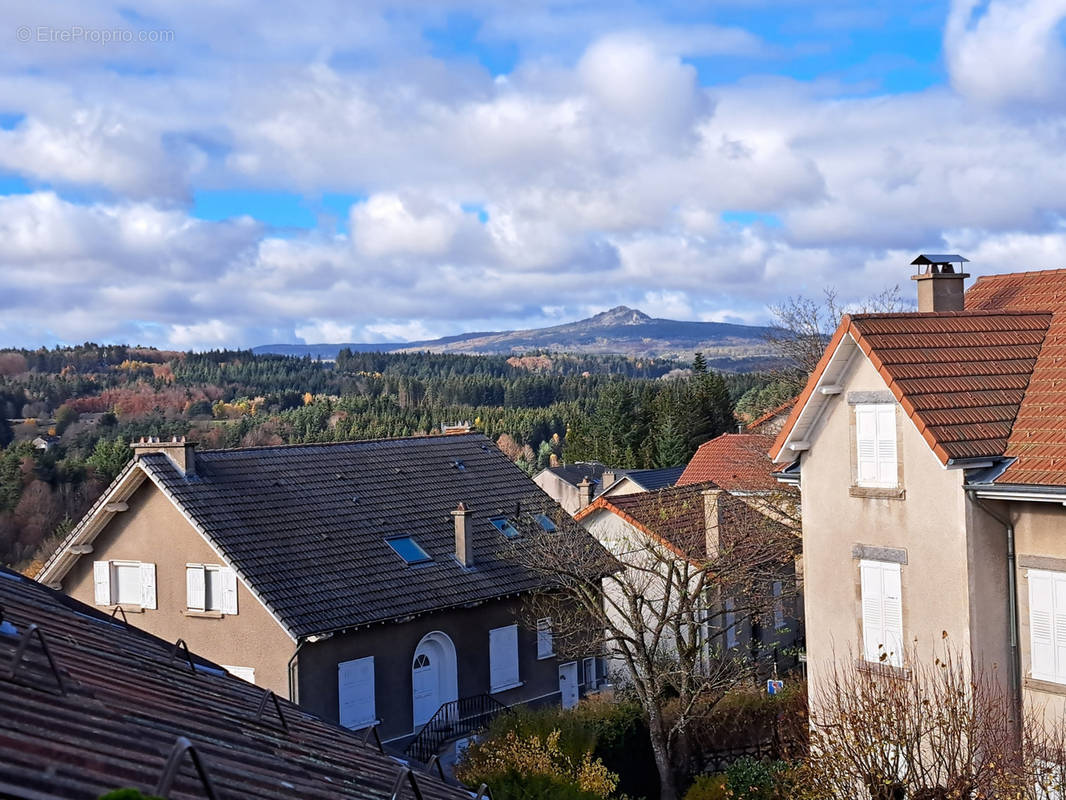 Maison à LE CHAMBON-SUR-LIGNON