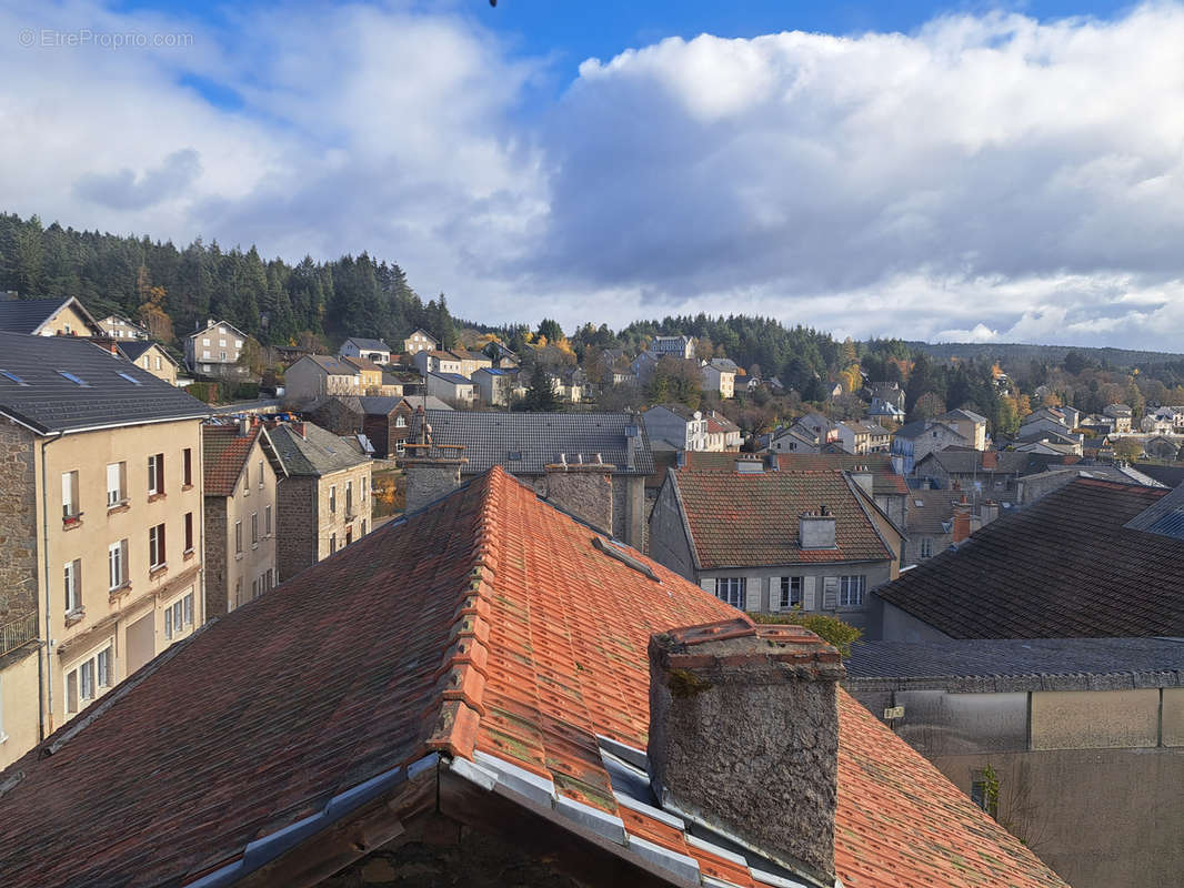 Maison à LE CHAMBON-SUR-LIGNON