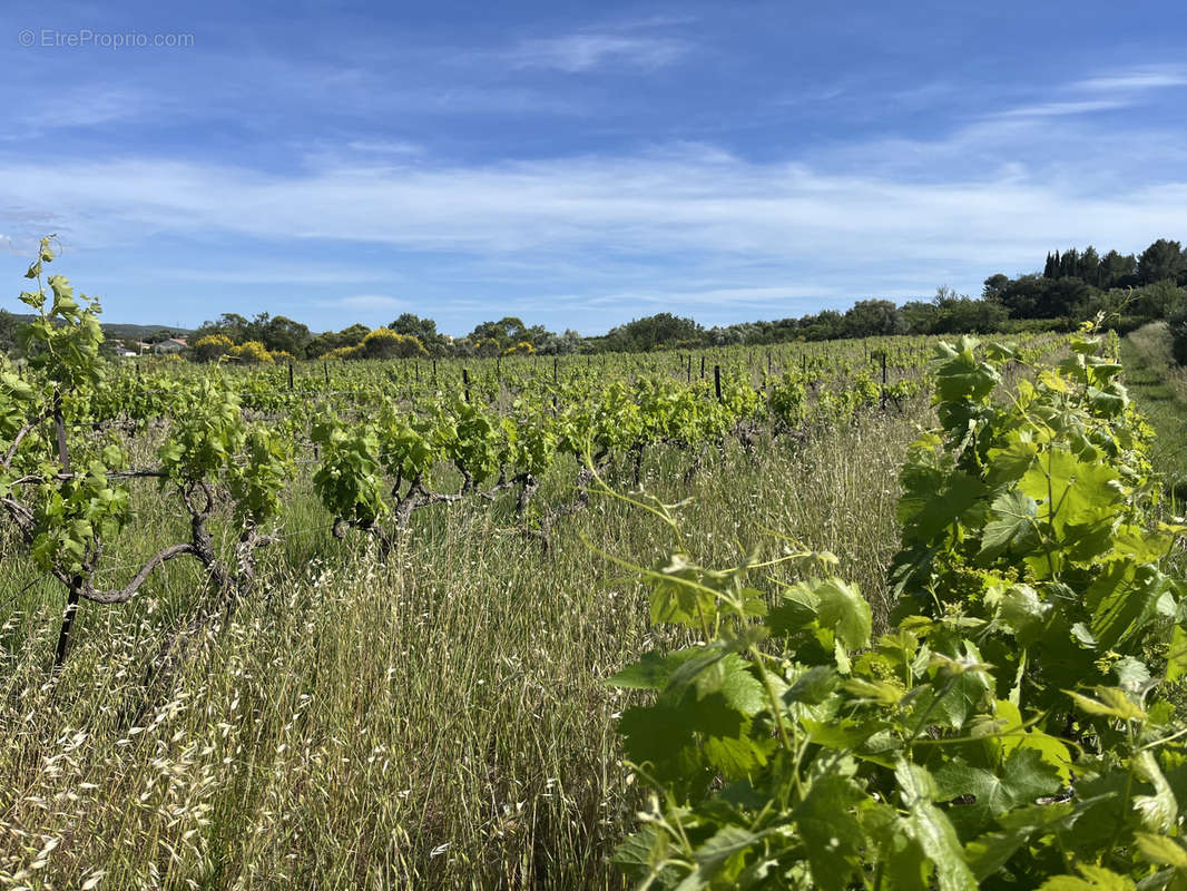 Terrain à GIGNAC