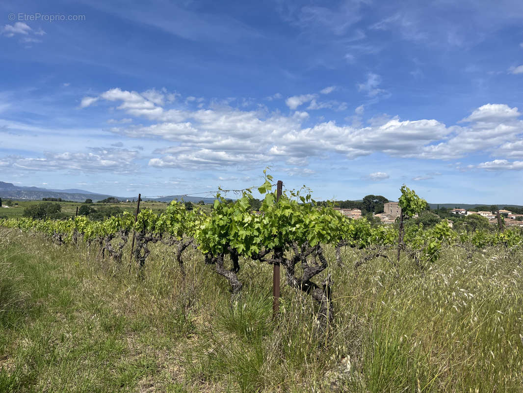 Terrain à GIGNAC