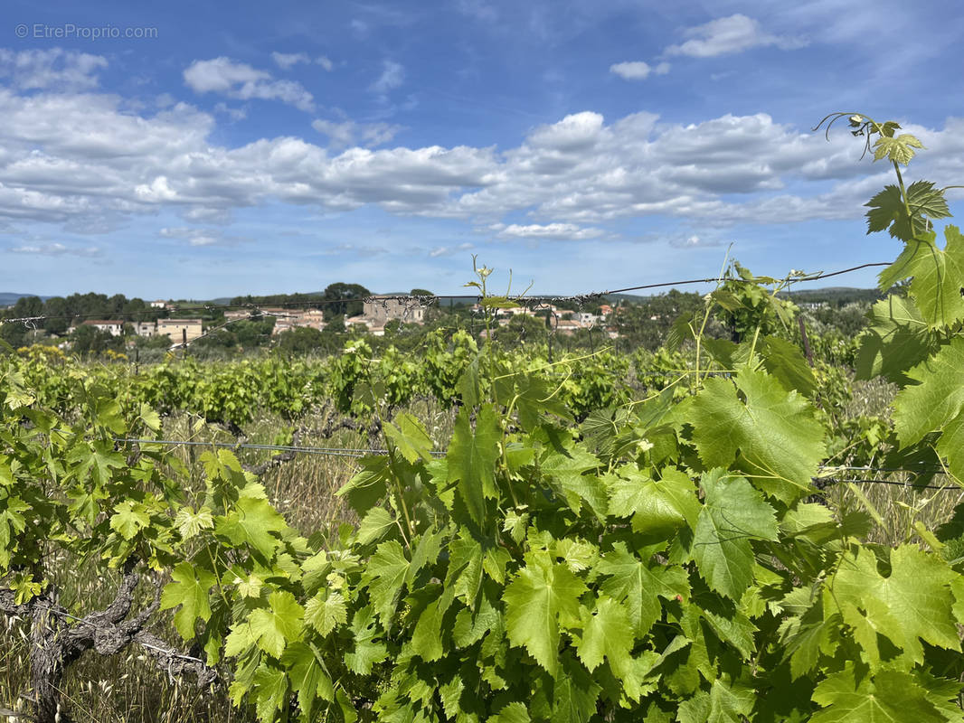 Terrain à GIGNAC