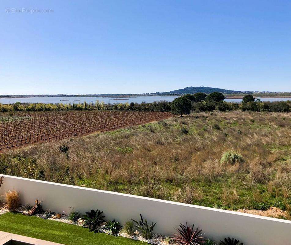 Maison à MARSEILLAN