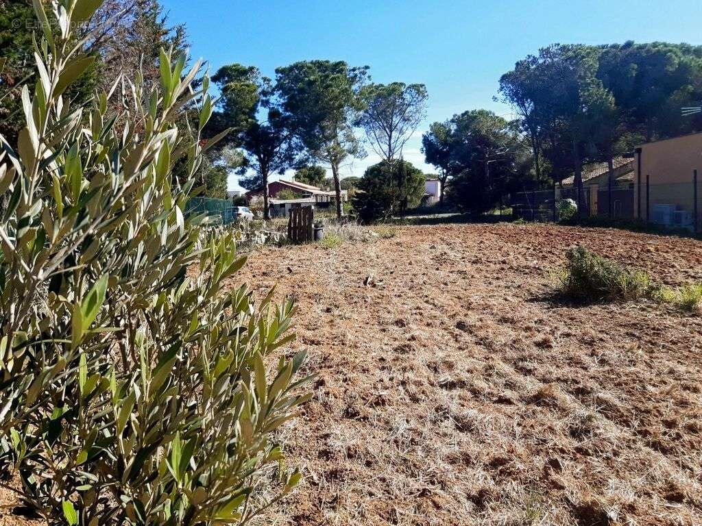 Terrain à MARSEILLAN