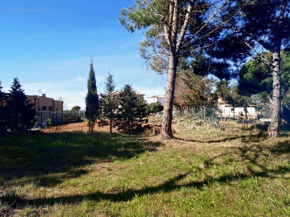 Terrain à MARSEILLAN