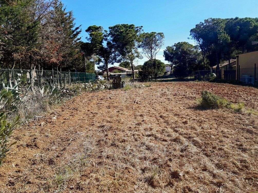 Terrain à MARSEILLAN