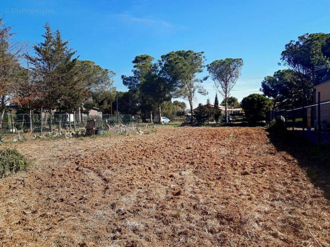 Terrain à MARSEILLAN