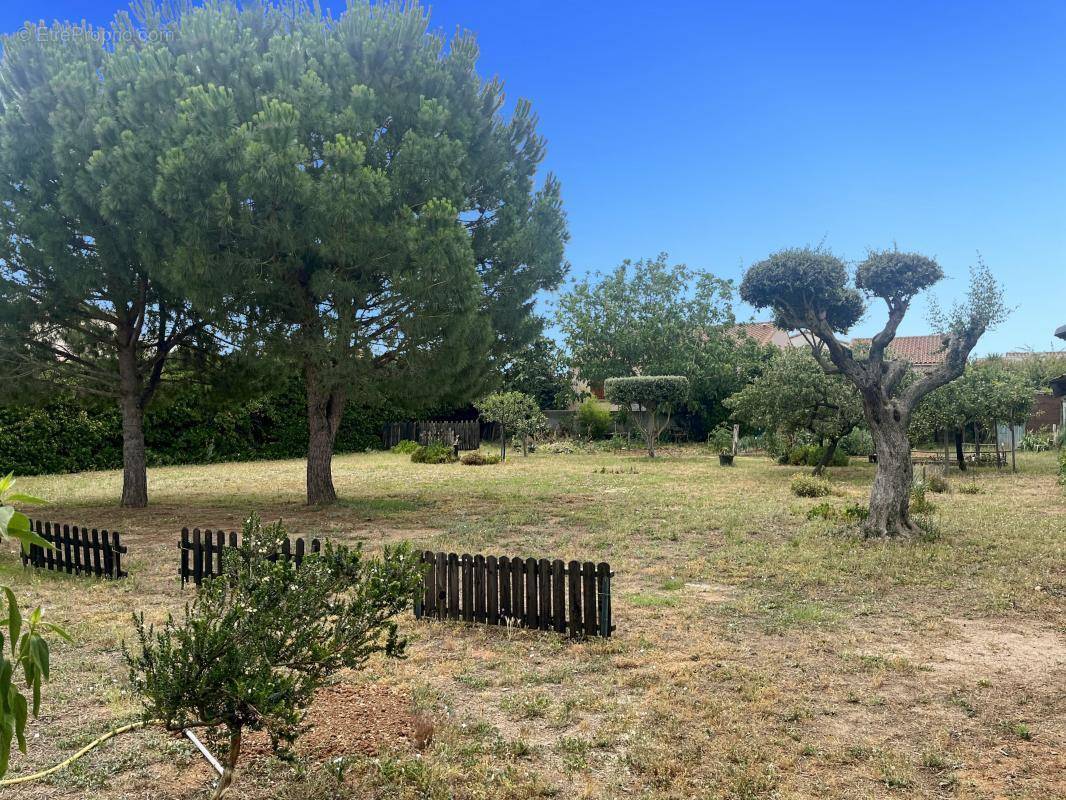 Terrain à MARSEILLAN