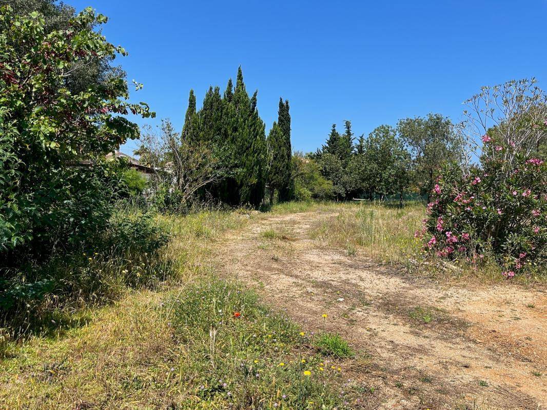 Terrain à MARSEILLAN