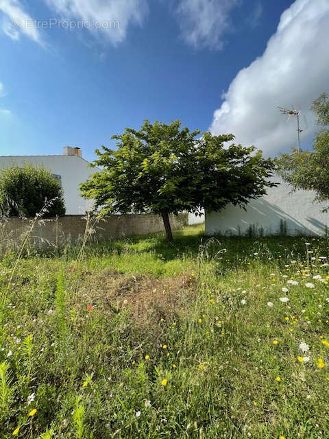 Maison à NOIRMOUTIER-EN-L&#039;ILE