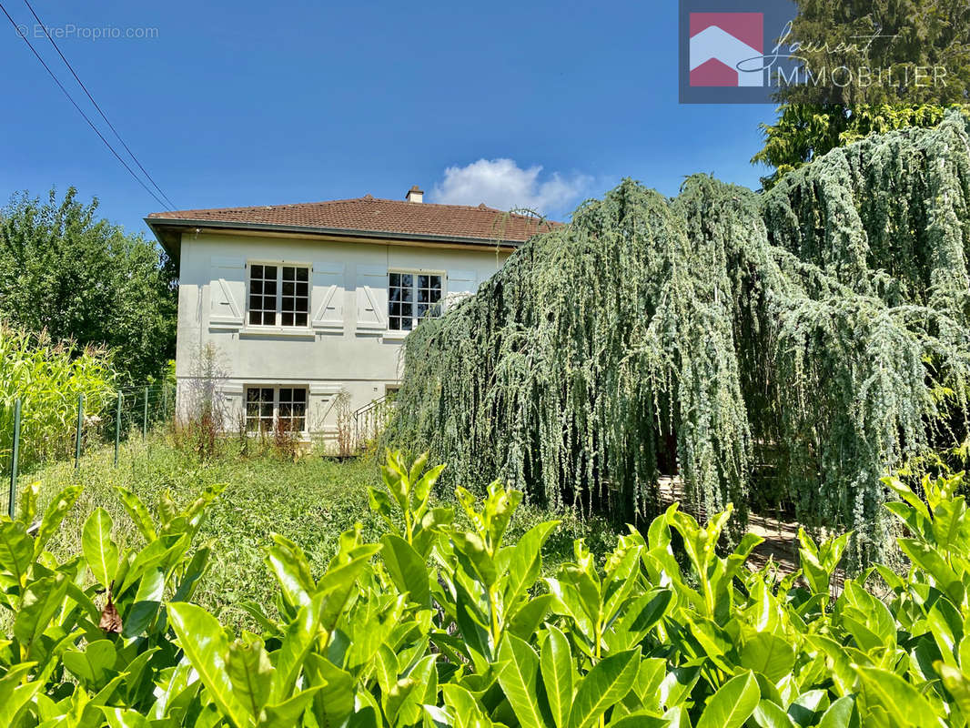 Maison à TOURNUS