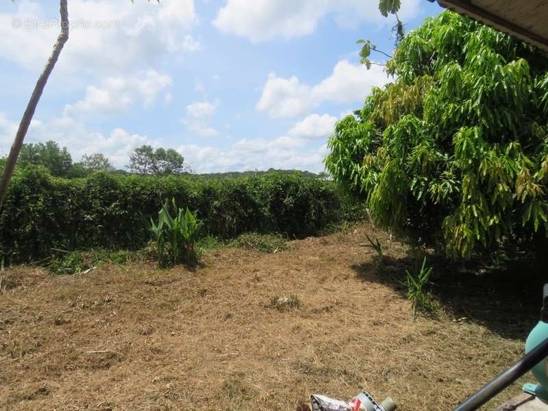 Terrain à KOUROU