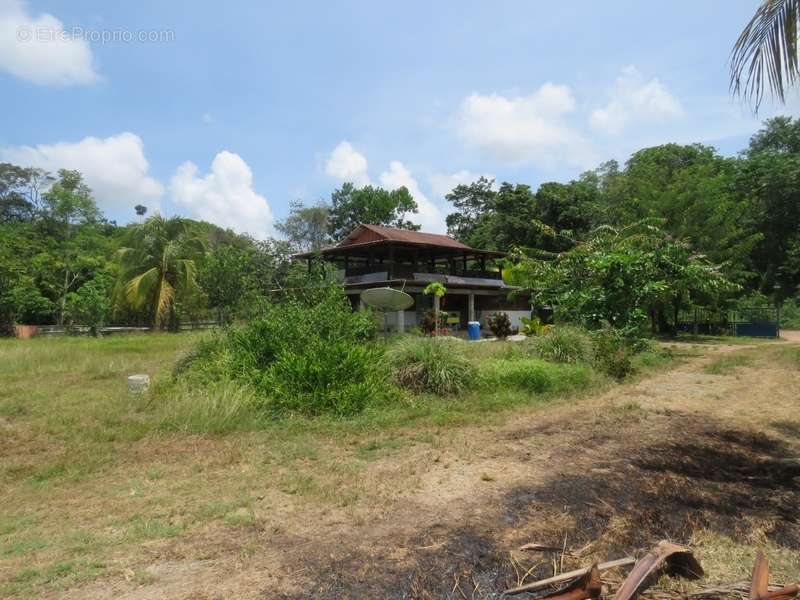 Terrain à KOUROU