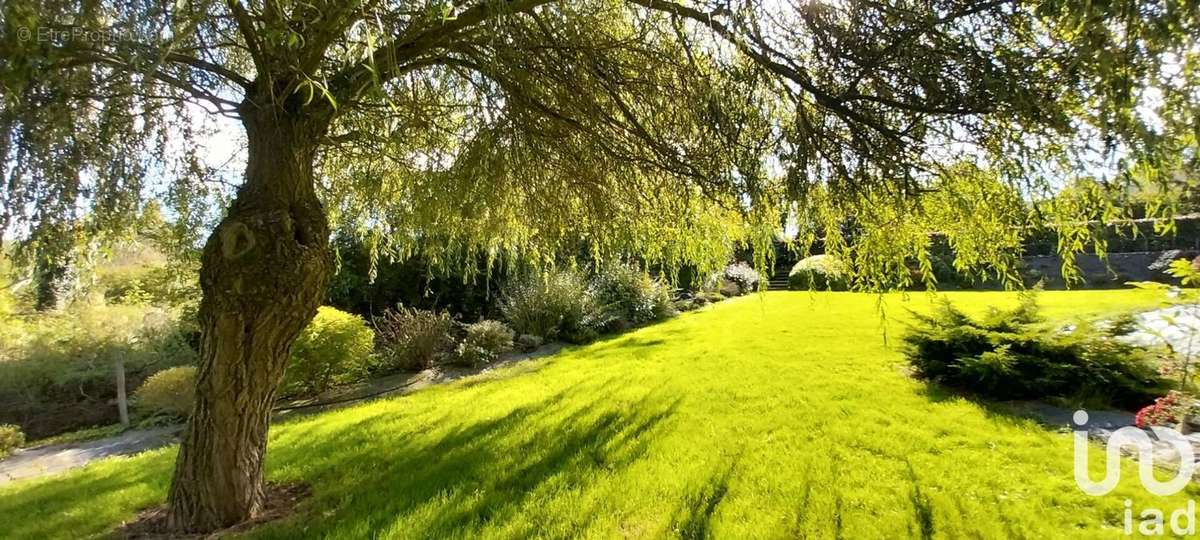 Photo 3 - Maison à YEVRES