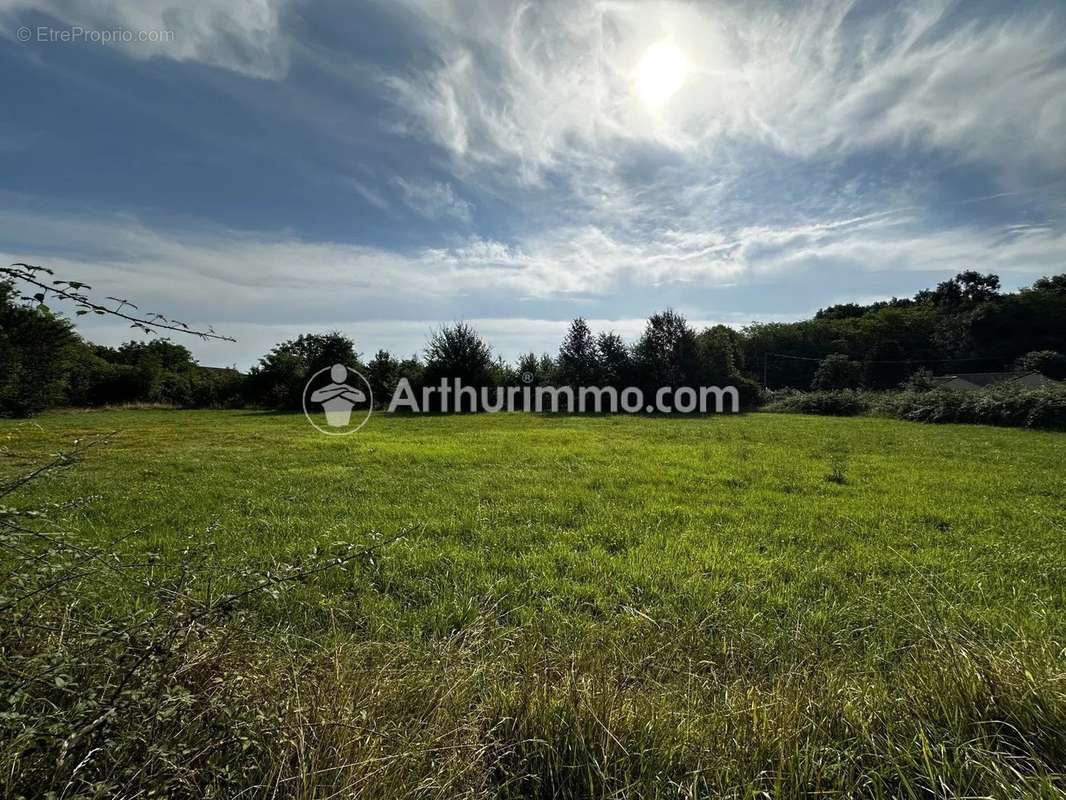 Terrain à SAINT-ASTIER