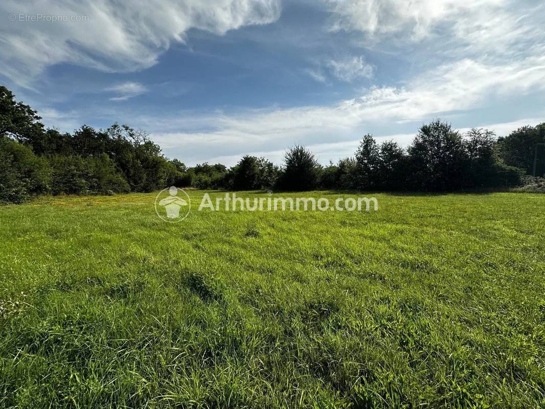 Terrain à SAINT-ASTIER