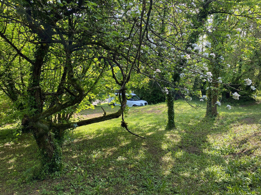 Terrain à BERGICOURT