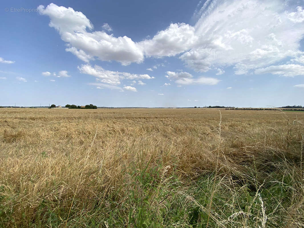 Terrain à LE PLESSIS-GROHAN